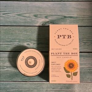 Ronny Kobo Collection Sunflower Soy Candle - Cream